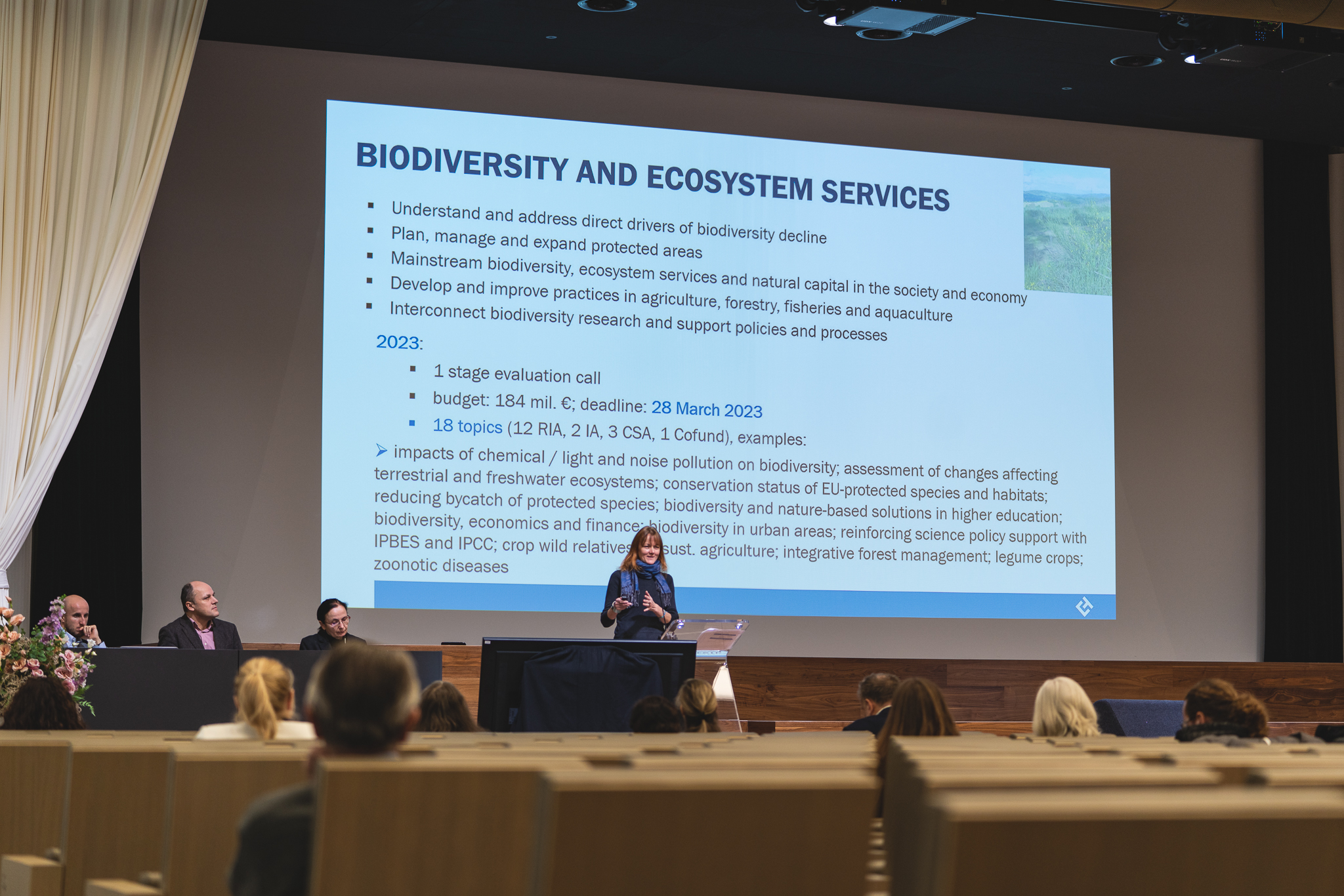 NID2022_Jana Čejková.jpg